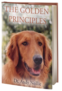 The Golden Principles 1st Edition by Dr. Andy Neillie The Golden Principles 1st Edition by Dr. Andy Neillie